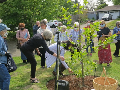 Two women watering the tree